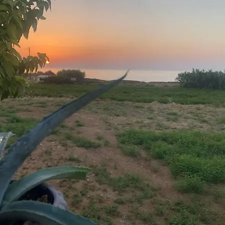 Seafront Blue Agave * Magnisia